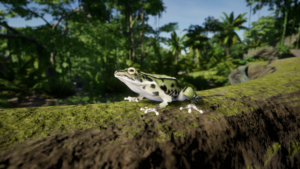 Frog in Jungle Module